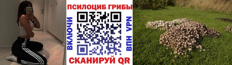 как найти Инта Галлюциногенные грибы прущие грибы