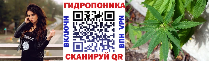 OMG вход  Инта  Марихуана OG Kush 